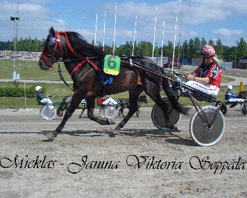 Foto & Copyright: Cecilia Rosenqvist