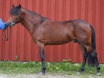 Foto & Copyright: Pernilla Jobs