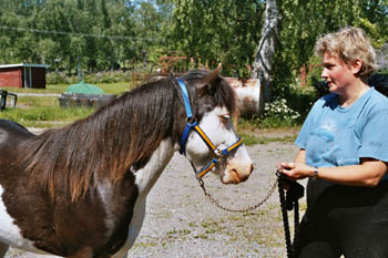 Foto & Copyright: Matilda Wijk